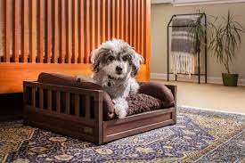 creating a non toxic furniture for pets