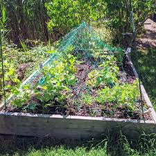 raised garden beds with 2x10x8 lumber