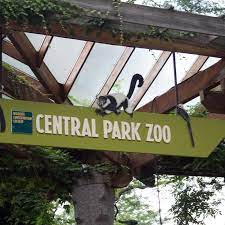 central park zoo tickets otickets