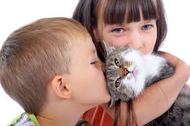 Image result for images of loving cat owners