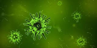 A virus is a chain of nucleic acids (dna or rna) which lives in a host cell, uses parts of the cellular machinery to reproduce, and releases the replicated nucleic acid chains to infect. Understanding Cold And Flu Viruses Oxford Instruments