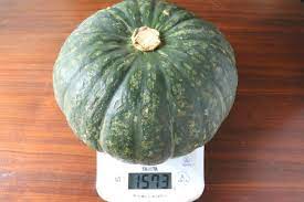かぼちゃの重さってどのくらい？丸々1個やカットしたときの重さを調べてみた - トクバイニュース