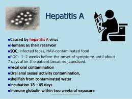 Image result for hepatitis a virus symptoms