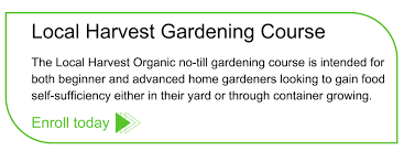 Organic Gardening Urban Gardener