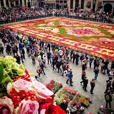 flower carpet festival in brussels