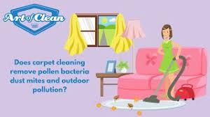 carpet cleaning remove pollen bacteria