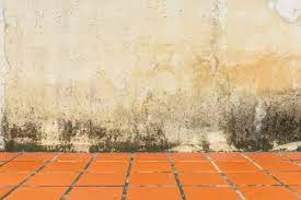 Is rising damp covered by home insurance. Rising Damp In The Home Is It As Bad As You Think Admiral