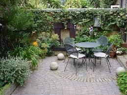 shady courtyard garden shoot