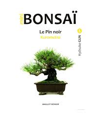 Kuromatsu11 | does the body rule the mind. Mini Bonsai Le Pin Noir Kuromatsu Libros Mistral Bonsai