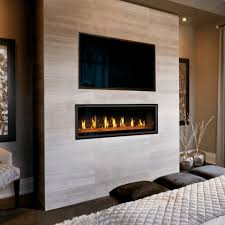 Napoleon Lv50n 2 Direct Vent Gas Fireplace