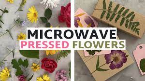 press flowers in the microwave