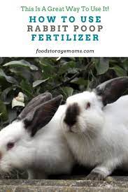 how to use rabbit fertilizer