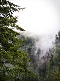 misty mountains free stock cc0 photo