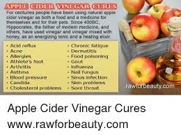 We tested all kinds of sweeteners to see which worked best; Apple Cider Vinegar Cures For Centuries People Have Been Using Natural Apple Cider Vinegar As Both A Food And A Medicine For Themselves And For Their Pets Since 400bc Hippocrates The Father