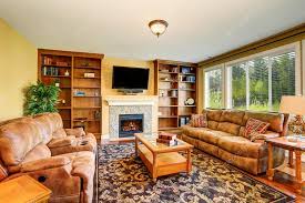 Luxury Living Room With Book Case And