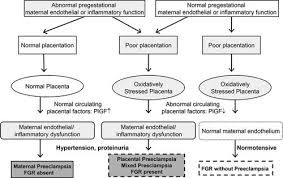 Redefining Preeclampsia Using Placenta Derived Biomarkers