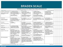 Braden Scale Essay Example December 2019