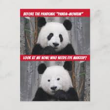 panda eyes postcards no minimum