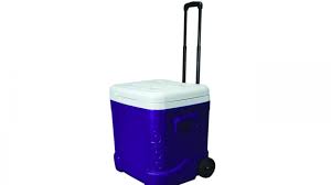 The handle was broke when i purchased this cooler however i did not notice it until i took it out of my car and filled it with ice. Igloo 60 Quart Cooler Only 26 88 59 Off Wral Com