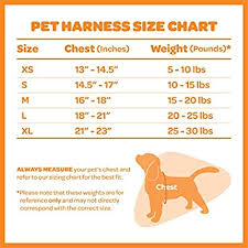 Voyager Step In Air Dog Harness All Weather Mesh Step In Vest Harness For Small And Medium Dogs By Best Pet Supplies