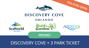 discovery cove dolphin swim package