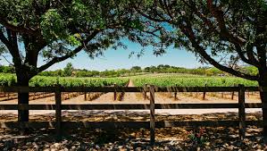 East of the cascade mountains, hundreds more wineries await in washington wine country, where you can sip the state's more than 70 varietals while overlooking the vineyards. Santa Barbara Wine Country Hotels Kimpton Canary Hotel