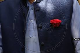We did not find results for: Image Of Rose Pocket Square Sr759673 Picxy
