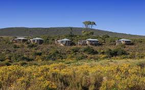 10 Safari Lodges Garden Route South Africa