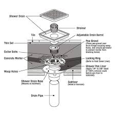 reln 2 in abs shower drain base