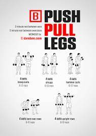 ppl pull b workout