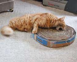 corrugated cardboard cat scratcher