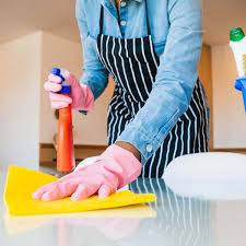 HOUSE CLEANING SERVICES SEATTLE Adventures-Nograu