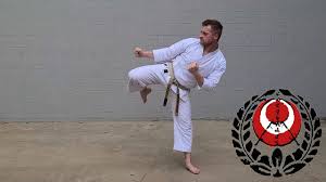 27 karate moves for cobra kai
