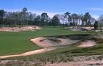 Pine Barrens at World Woods Golf Club in Brooksville, Florida, USA ...