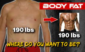 body fat percene men how to