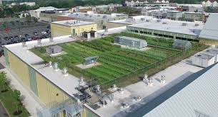 Green City Growers Urban Farming