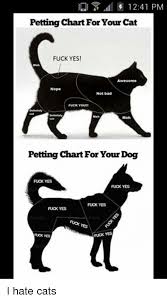 1241 Pm Petting Chart For Your Cat Fuck Yes Not Bad Fuck