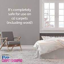 carpet shoo cleaner solution pet