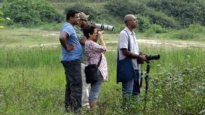 birding in bangalore beyond