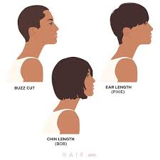hair length chart every single cut