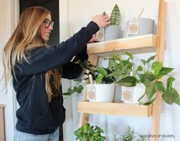 Diy Plant Ladder Shelf A Er