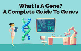 a complete guide to genes