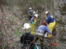 environmental waste cleanup services in