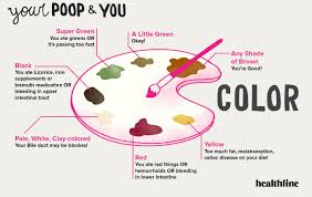 Types Of Poop Appearance Color Consistency Time