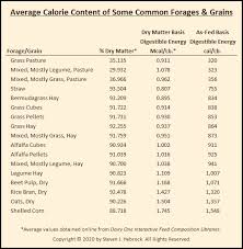 calories 101 part 2 how much should