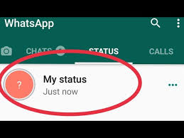 how to fix my whatsapp status not
