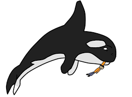 Tank whale orca vore maw mawshot tongue. Your Human Prey Vorarephile Generic Orca Vore By Dolorcin