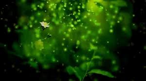 green nature background video hd you