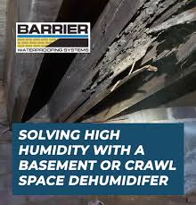 Basement Or Crawl Space Dehumidifier