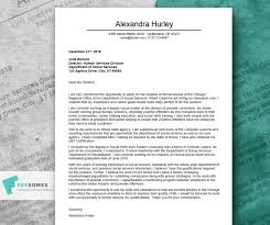 Excellent Cover Letter Examples For A